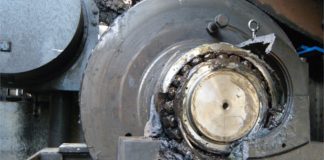 Can you eat Reliability?